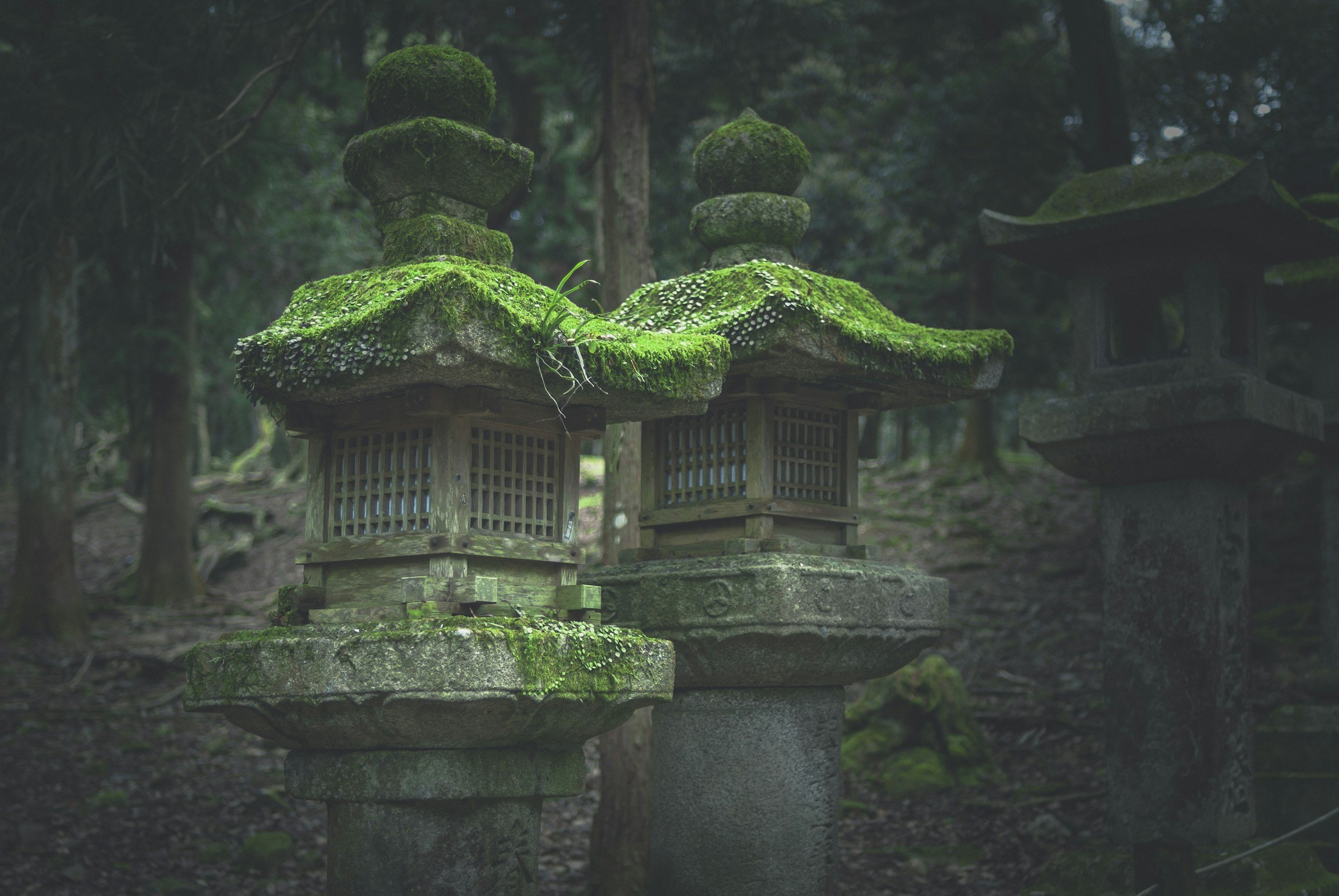 🍂 아키시노데라 절 이미지 6